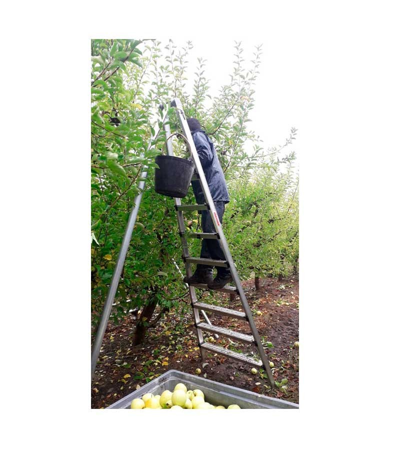 ESCALERA AGRÍCOLA FÁCIL DE COLOCAR