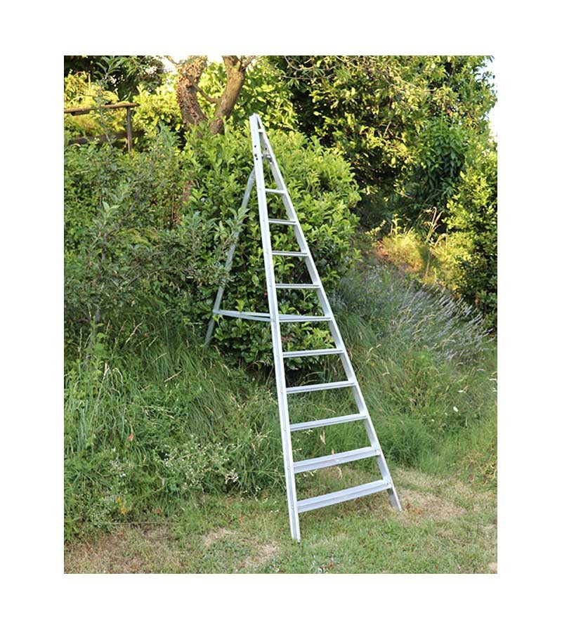 ESCALERA AGRÍCOLA ECONÓMICA