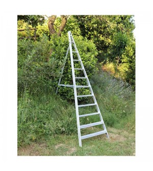 ESCALERA AGRÍCOLA ECONÓMICA