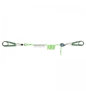 LÍNEA DE VIDA TEMPORAL