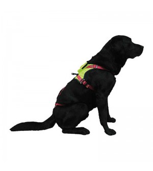 ARNÉS PARA PERROS DE RESCATE