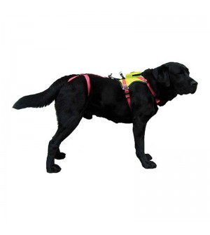 ARNÉS PARA PERROS POLICÍA
