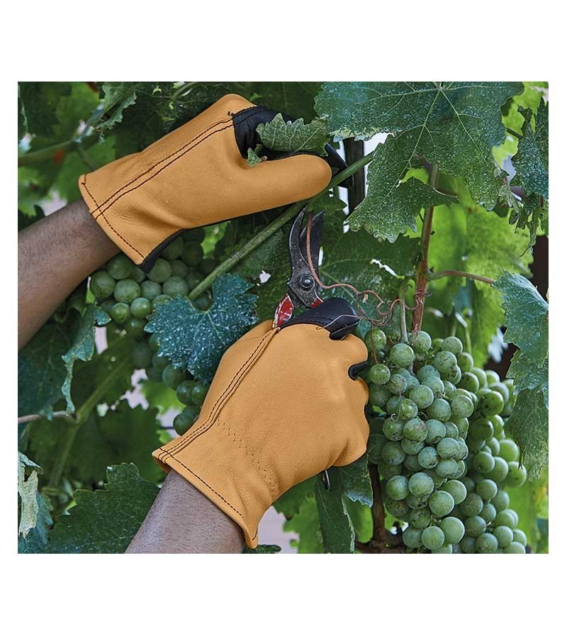 GUANTE PARA PODA H210M